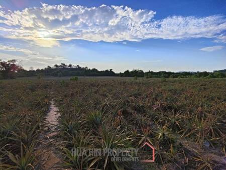 30 Rai Land Plot Next To Hua Hin Safari