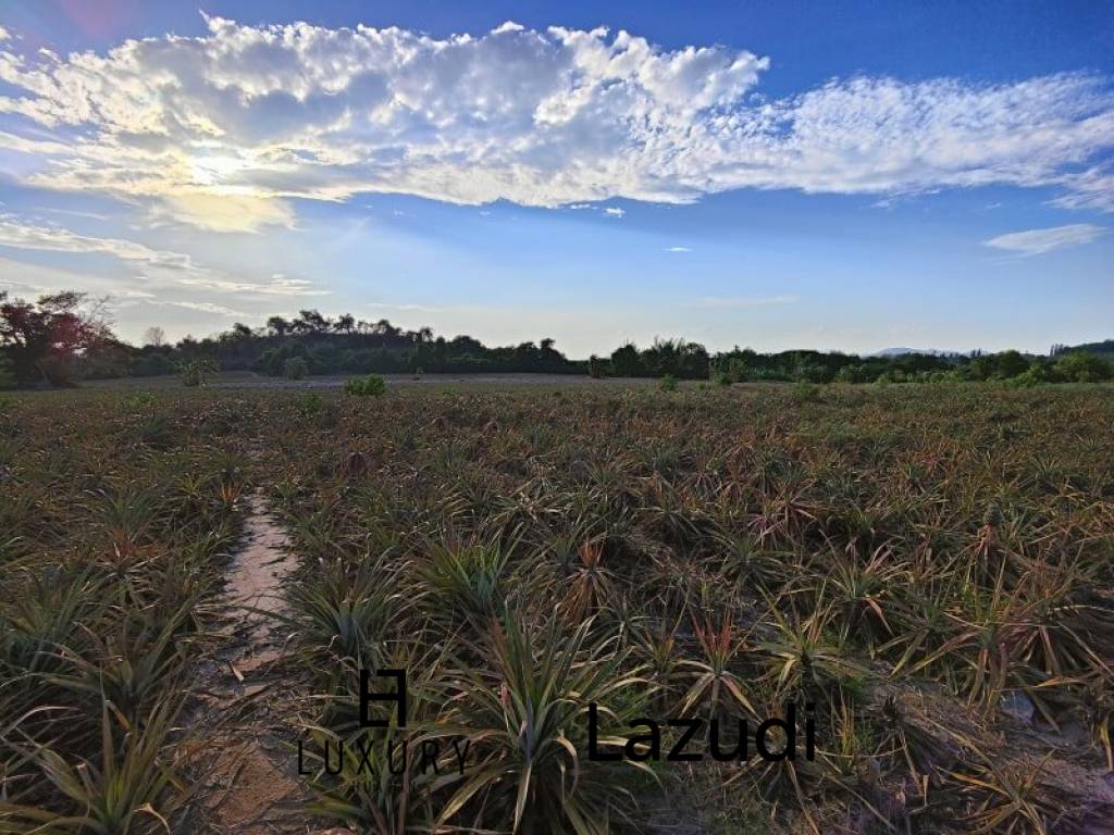 30 Rai Land Plot Next To Hua Hin Safari