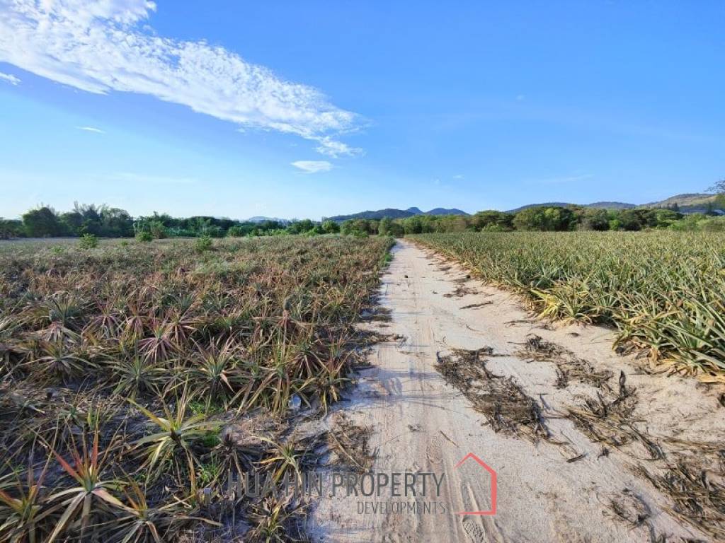 30 Rai Land Plot Next To Hua Hin Safari