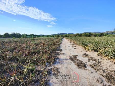 30 Rai Land Plot Next To Hua Hin Safari