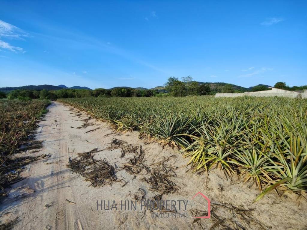 30 Rai Land Plot Next To Hua Hin Safari