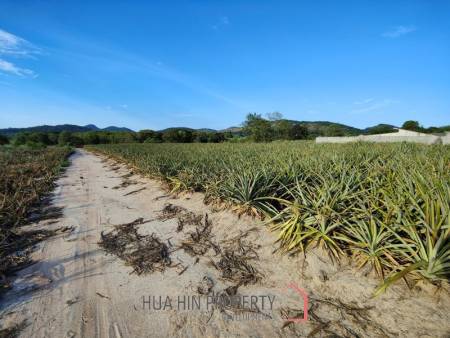 30 Rai Land Plot Next To Hua Hin Safari