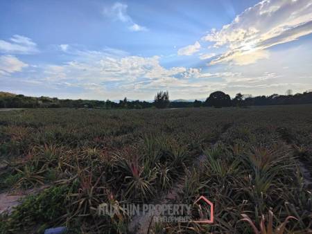 30 Rai Land Plot Next To Hua Hin Safari