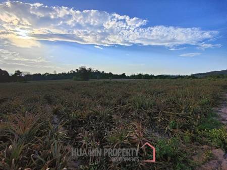 30 Rai Land Plot Next To Hua Hin Safari
