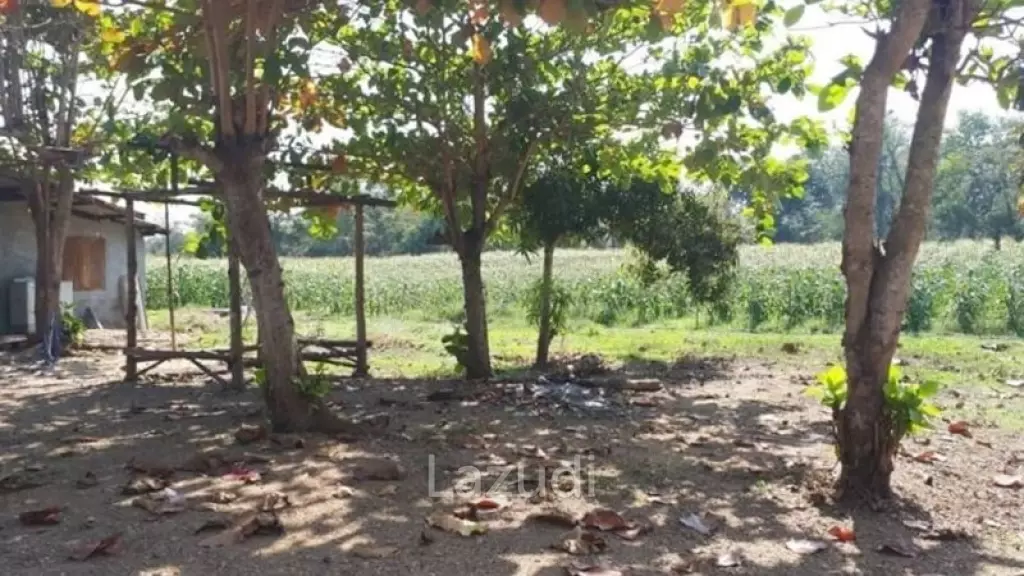21 Rai Agriculture and Plantation Land