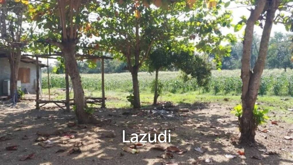 21 Rai Agriculture and Plantation Land