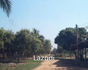 21 Rai Agriculture and Plantation Land