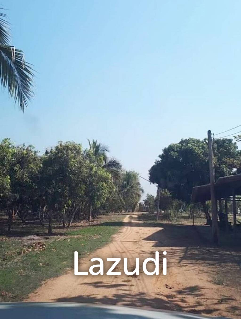 21 Rai Agriculture and Plantation Land