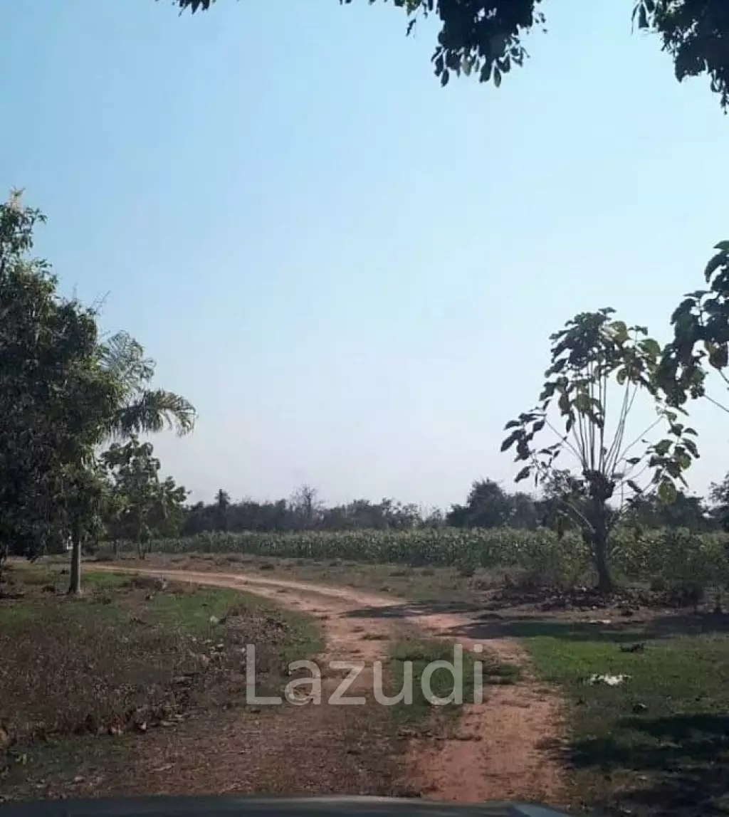21 Rai Agriculture and Plantation Land