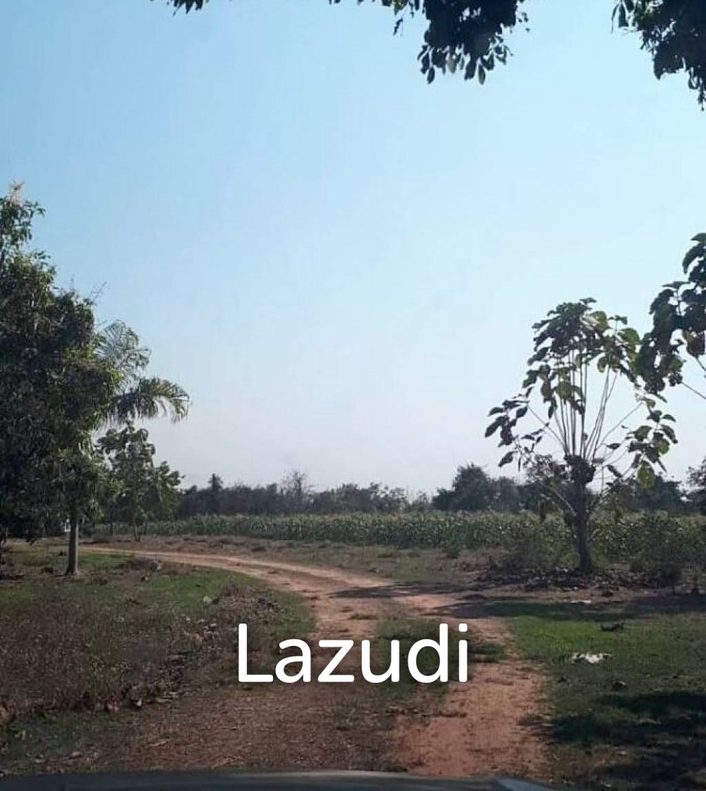 21 Rai Agriculture and Plantation Land