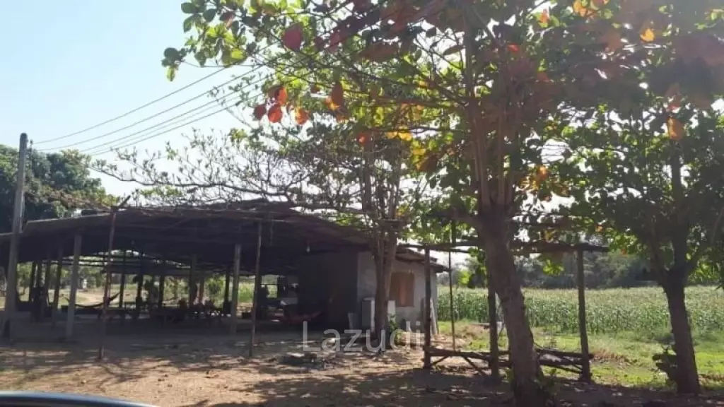 21 Rai Agriculture and Plantation Land