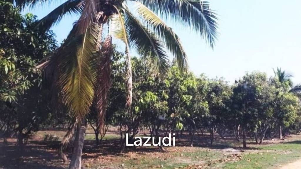 21 Rai Agriculture and Plantation Land