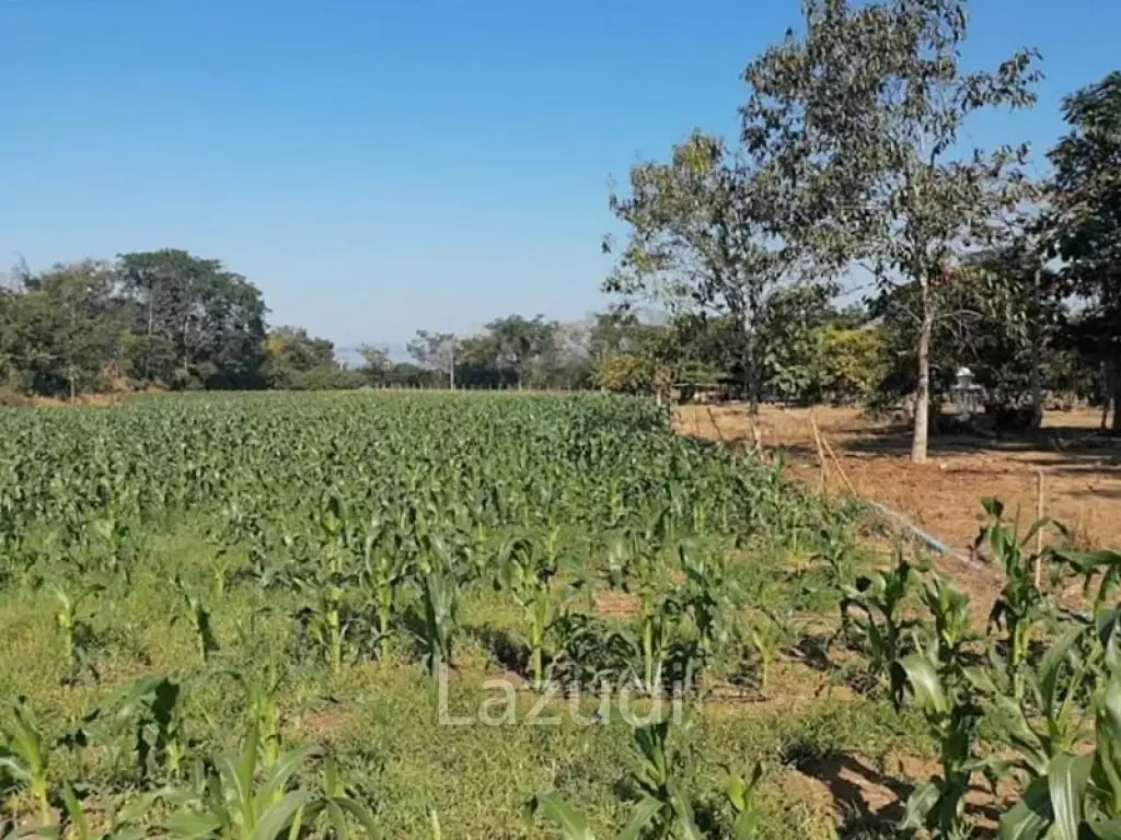 21 Rai Agriculture and Plantation Land