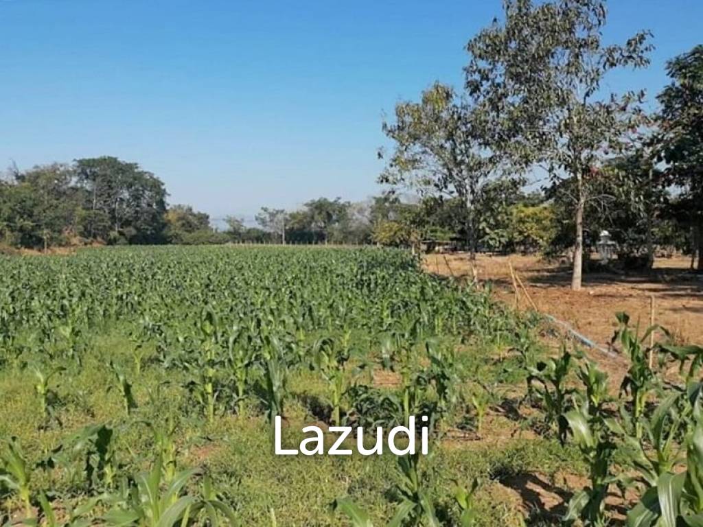 21 Rai Agriculture and Plantation Land