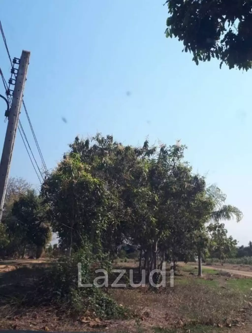 21 Rai Agriculture and Plantation Land