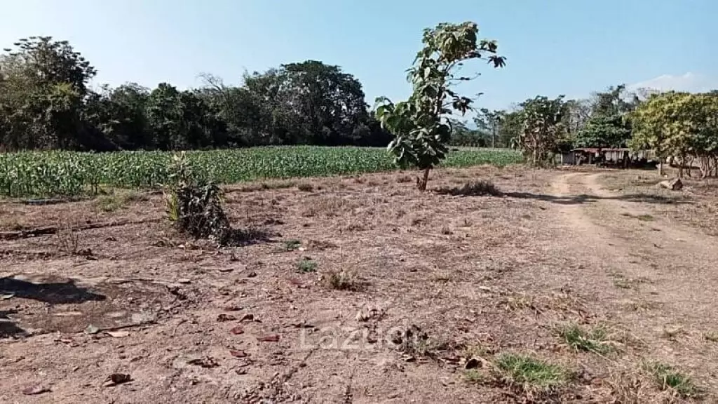 21 Rai Agriculture and Plantation Land