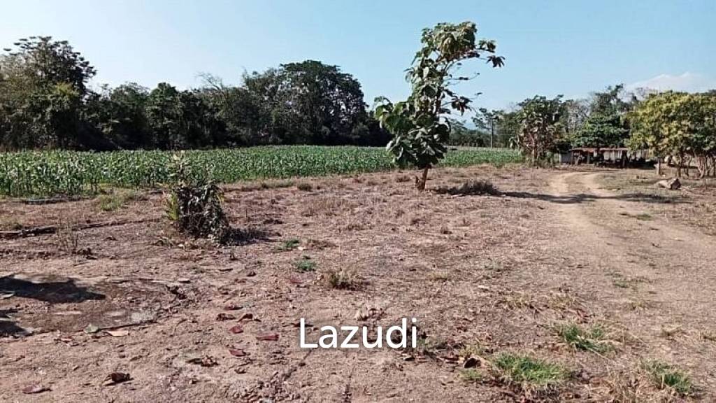 21 Rai Agriculture and Plantation Land