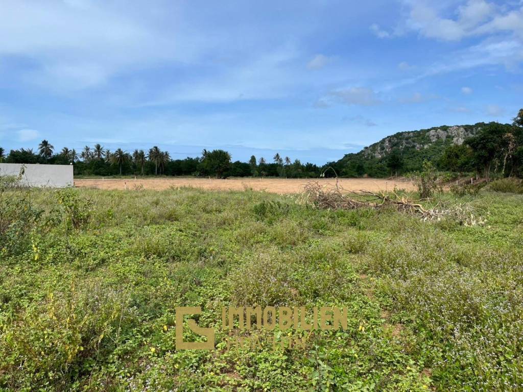 Prime Location Land 915m to Beach :  Kao Kalok