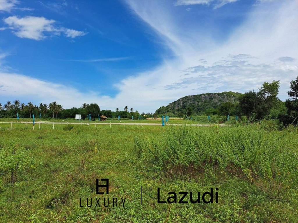 Prime Location Land 915m to Beach :  Kao Kalok