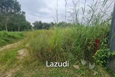 3,663 SQ.M Land in Pong Close to Highway 331
