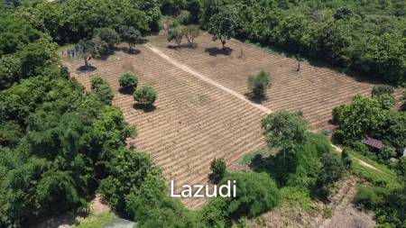 Beautiful Land with Views in Mae Yao for sale