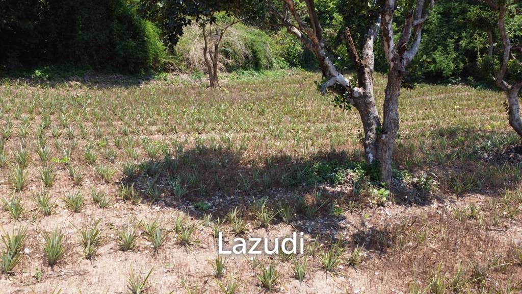 Beautiful Land with Views in Mae Yao for sale