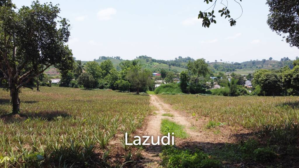 Beautiful Land with Views in Mae Yao for sale