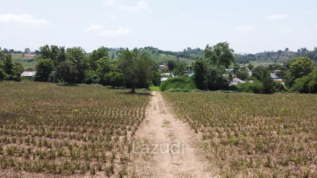 Beautiful Land with Views in Mae Yao for sale