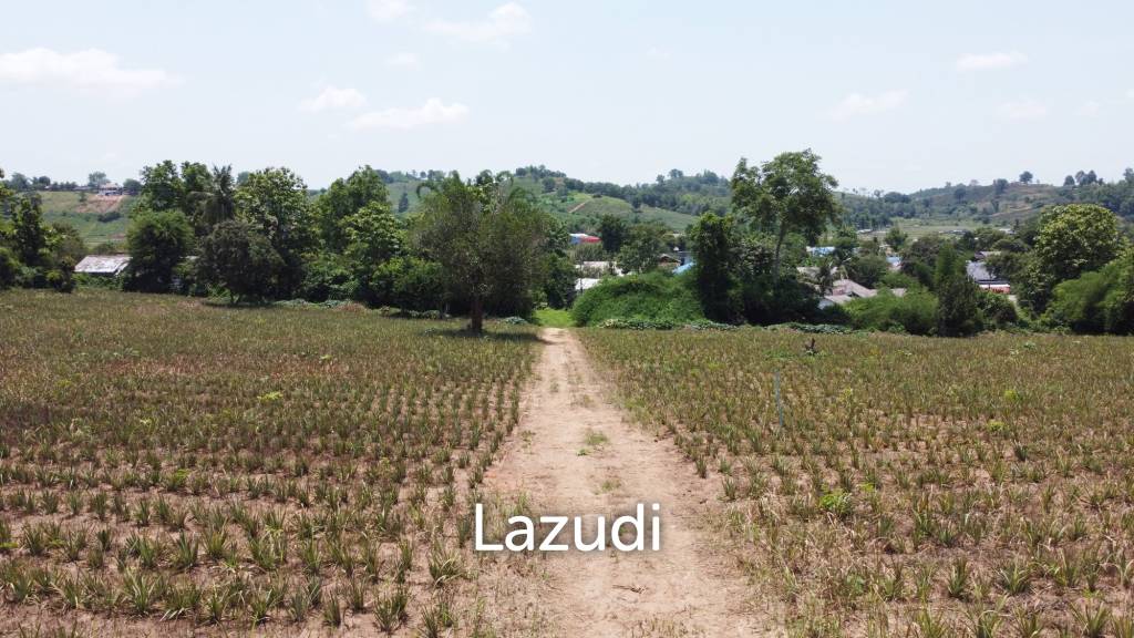 Beautiful Land with Views in Mae Yao for sale