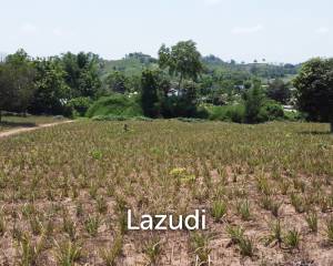 Beautiful Land with Views in Mae Yao for sale