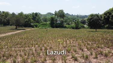 Beautiful Land with Views in Mae Yao for sale