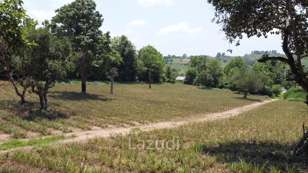 Beautiful Land with Views in Mae Yao for sale