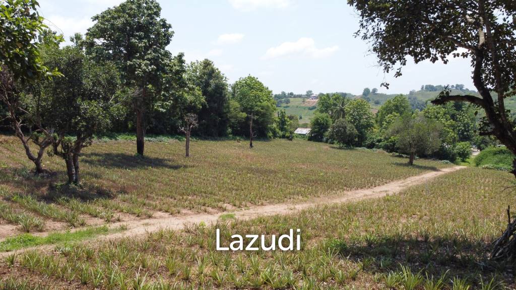 Beautiful Land with Views in Mae Yao for sale