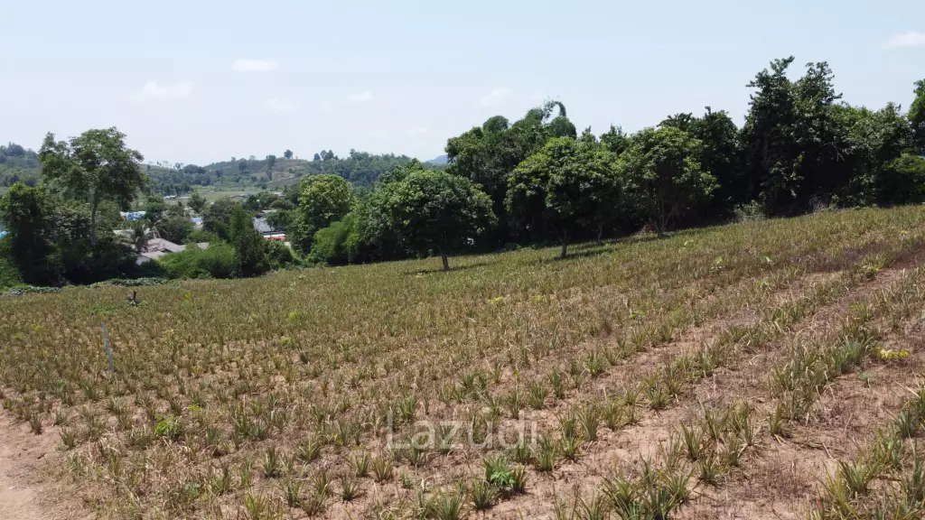 Beautiful Land with Views in Mae Yao for sale