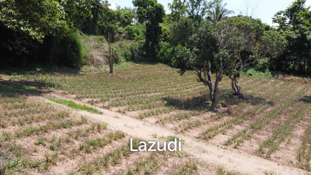 Beautiful Land with Views in Mae Yao for sale