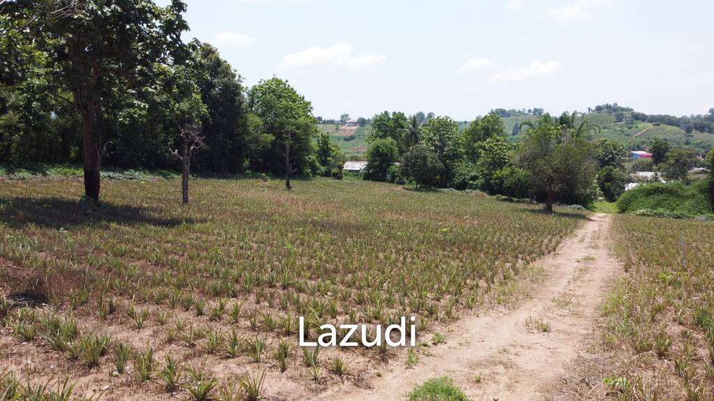 Beautiful Land with Views in Mae Yao for sale