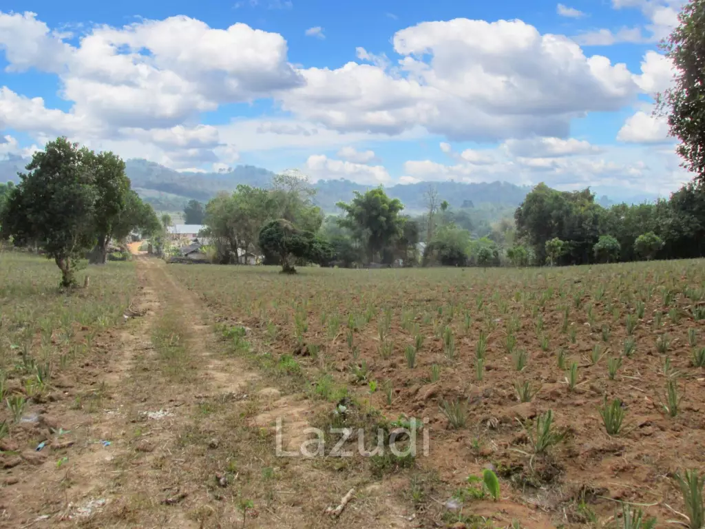 Beautiful Land with Views in Mae Yao for sale