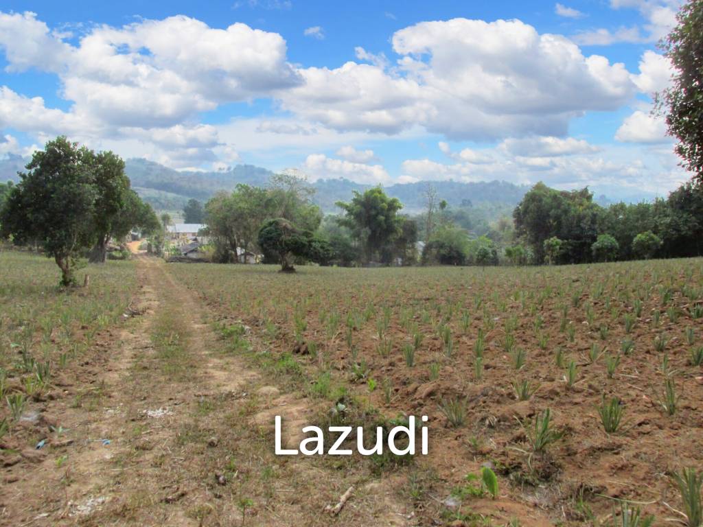 Beautiful Land with Views in Mae Yao for sale