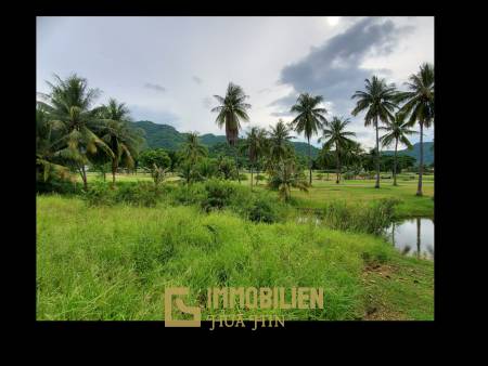 2,000 ตร.ม ที่ดิน For ขาย