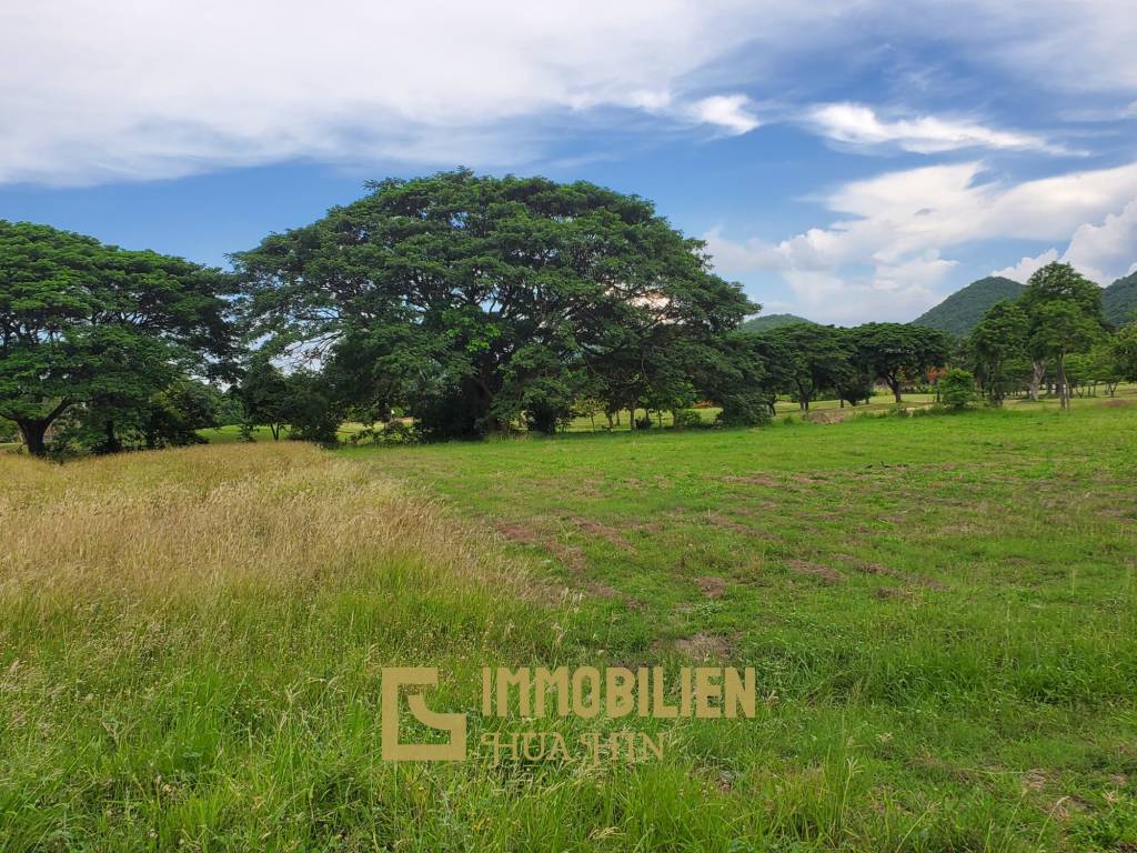 2,000 ตร.ม ที่ดิน For ขาย