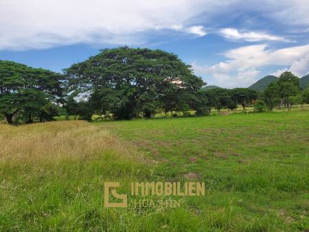 2,000 ตร.ม ที่ดิน For ขาย