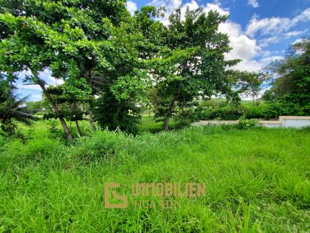 2,000 ตร.ม ที่ดิน For ขาย