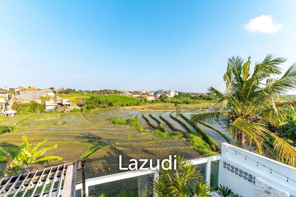 Amazing 3 Bedroom Leasehold Villa in Batu Bolong Canggu