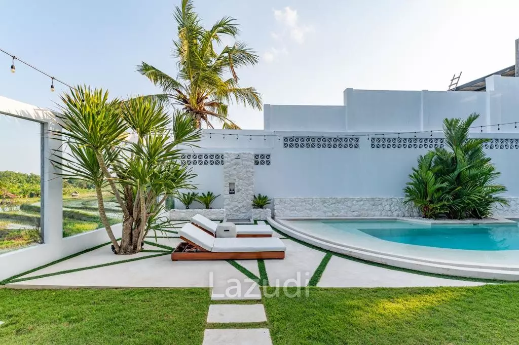 Amazing 3 Bedroom Leasehold Villa in Batu Bolong Canggu