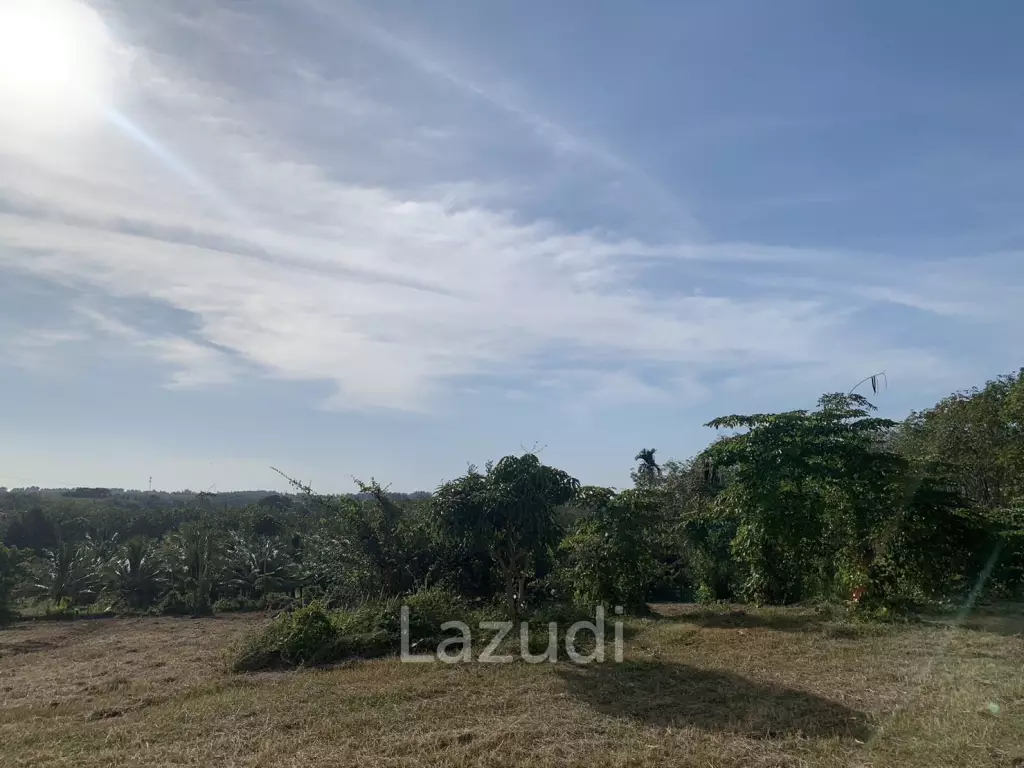 4 Bed Detached House near Mai Khao Beach 4 Rai