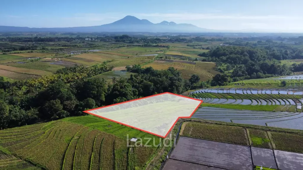 Mountain and Ocean View Land for Sale in Kelating, Tabanan