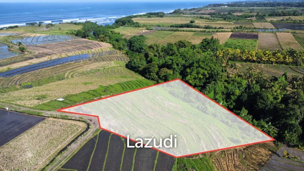 Mountain and Ocean View Land for Sale in Kelating, Tabanan