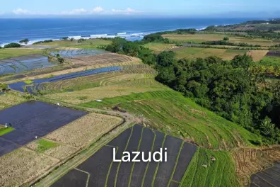 Mountain and Ocean View Land for Sale in Kelating, Tabanan