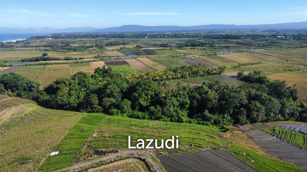 Mountain and Ocean View Land for Sale in Kelating, Tabanan