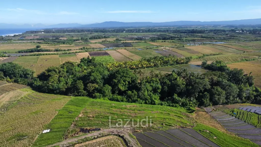 Mountain and Ocean View Land for Sale in Kelating, Tabanan